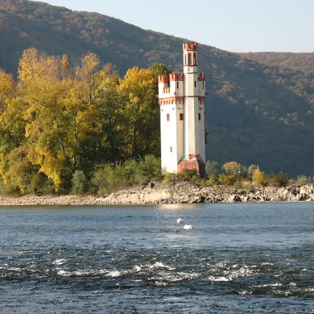 Helle Fewo, 60 Qm, Souterrain, Eigener Eingang, Rhein Und Nahe Bingen am Rhein Exterior photo