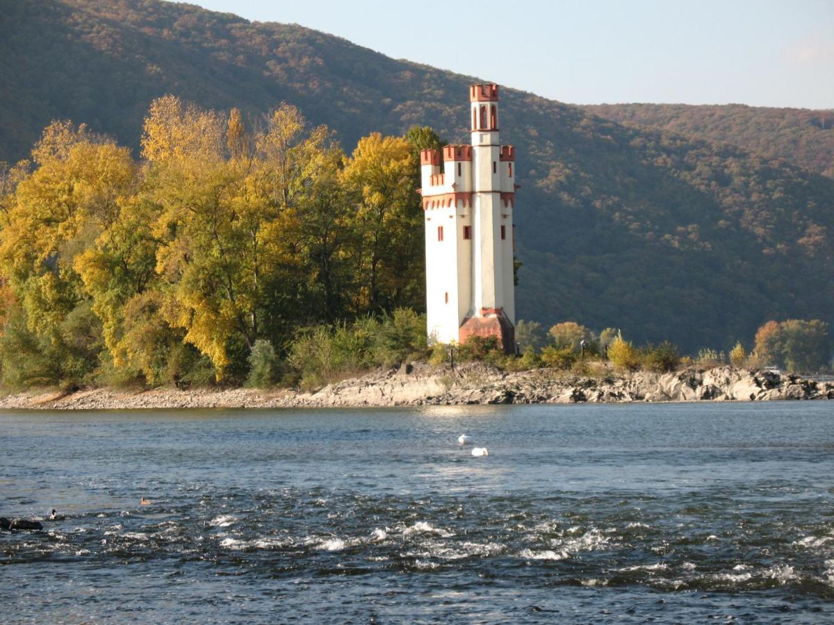 Helle Fewo, 60 Qm, Souterrain, Eigener Eingang, Rhein Und Nahe Bingen am Rhein