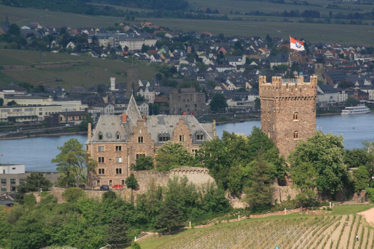 Helle Fewo, 60 Qm, Souterrain, Eigener Eingang, Rhein Und Nahe * Bingen am Rhein